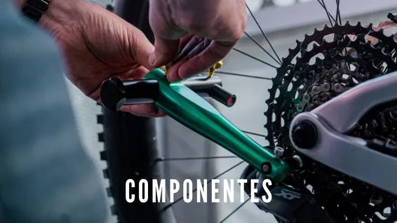 Sección componentes