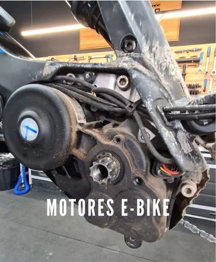motores-1 » Bitke